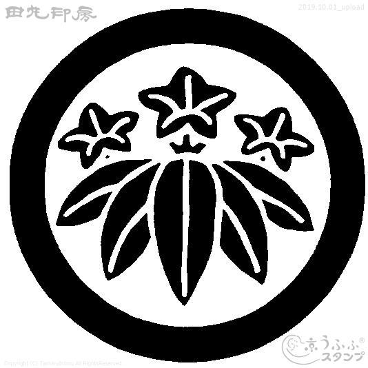 Sasa Ryubi on a circle