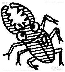 Mini Stamp Stag Beetle