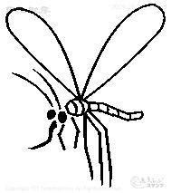Mini stamp Mosquito