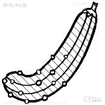 Mini Stamp Cucumber