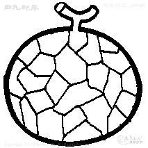 Mini Stamp Melon