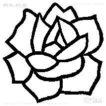 Mini stamp white rose