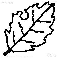 Mini stamp white leaves