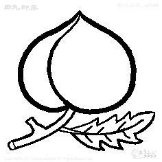 Mini stamp one peach