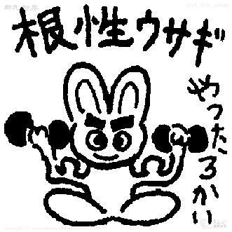 A gutsy rabbit