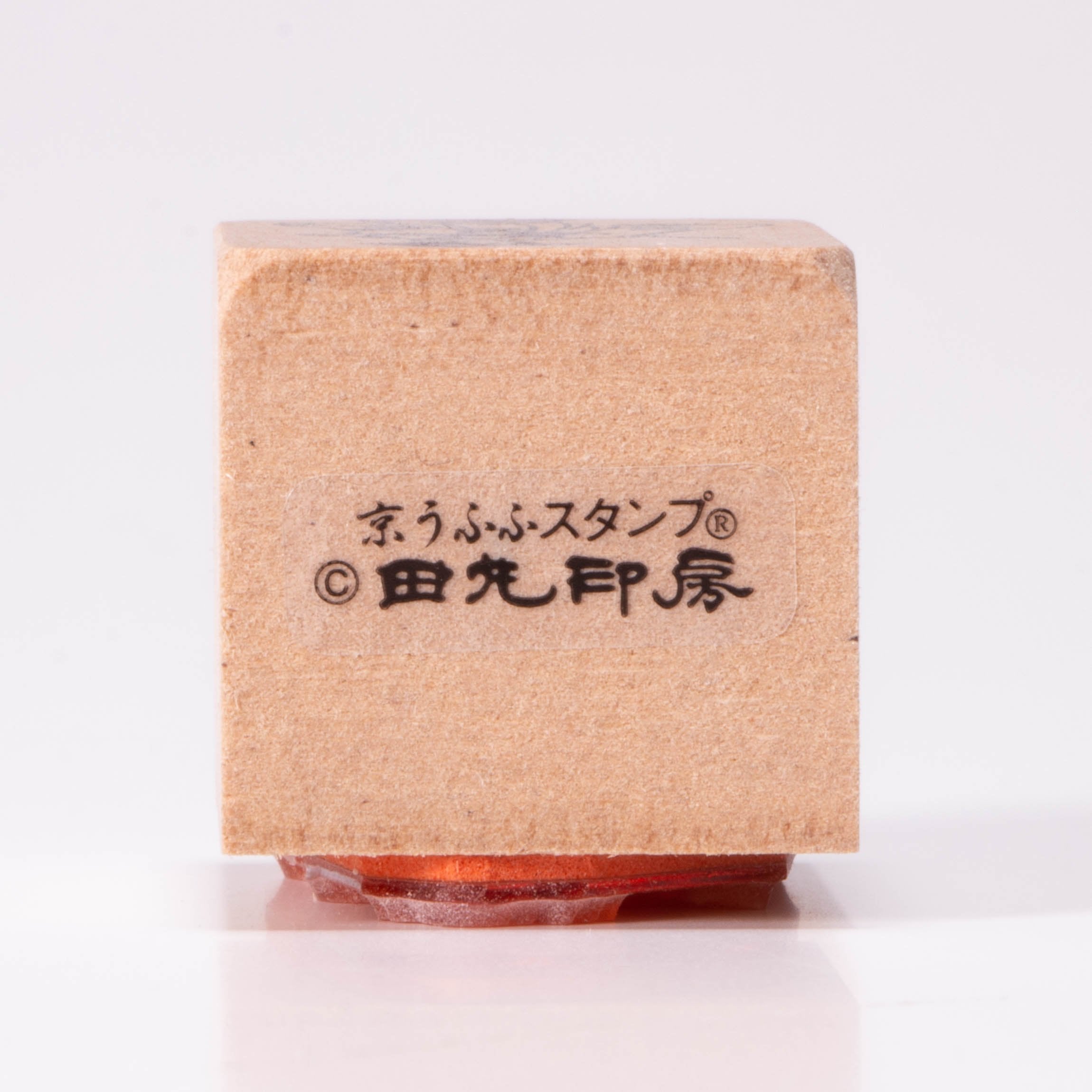指向公主