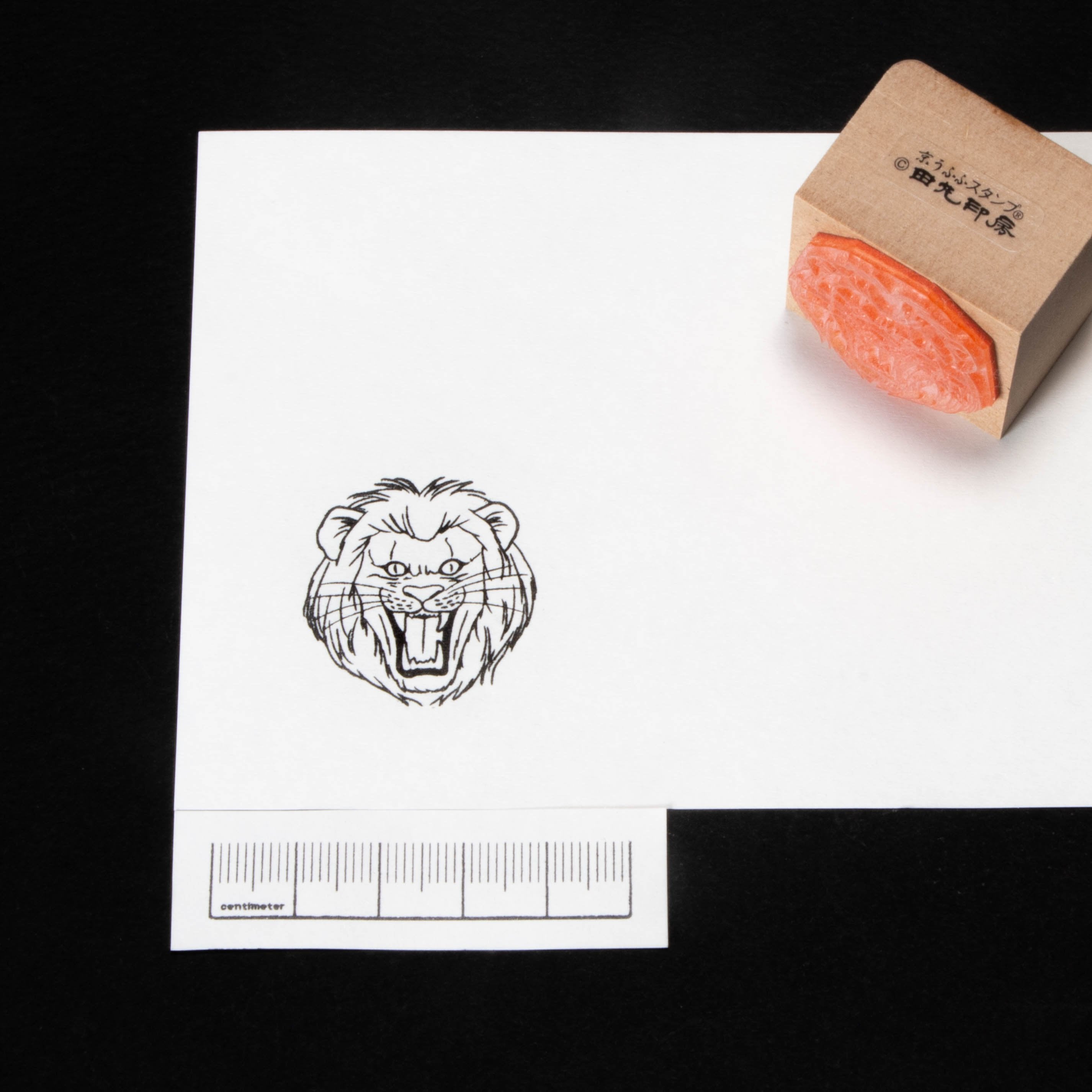 Lion roars