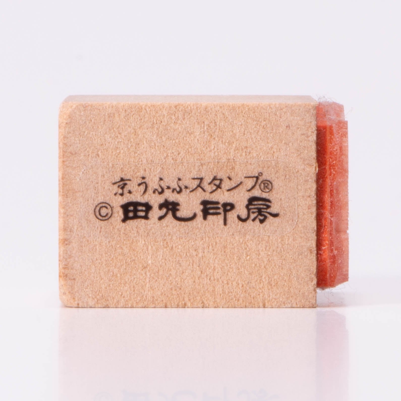 無尾熊