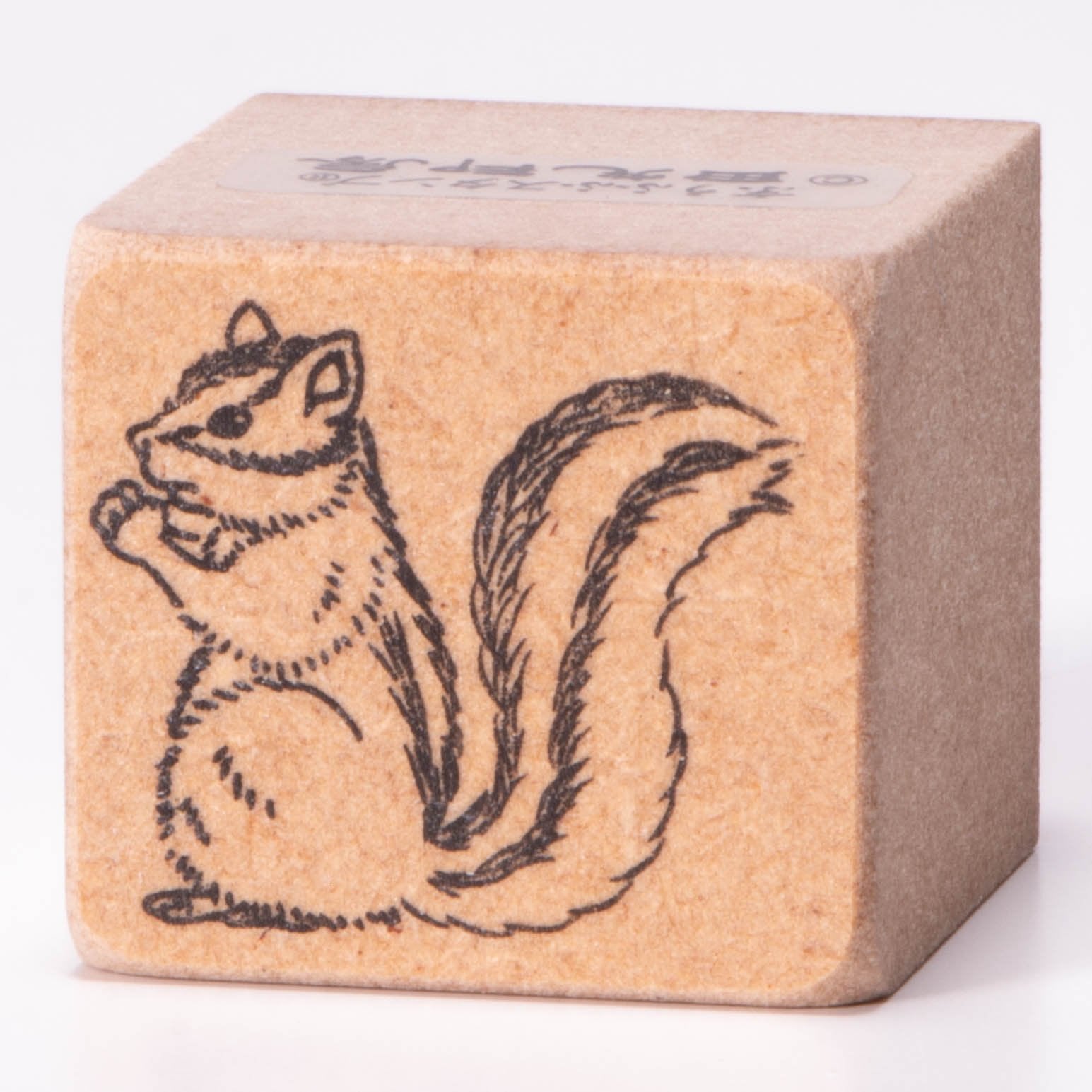 squirrel