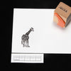 Giraffe whole body