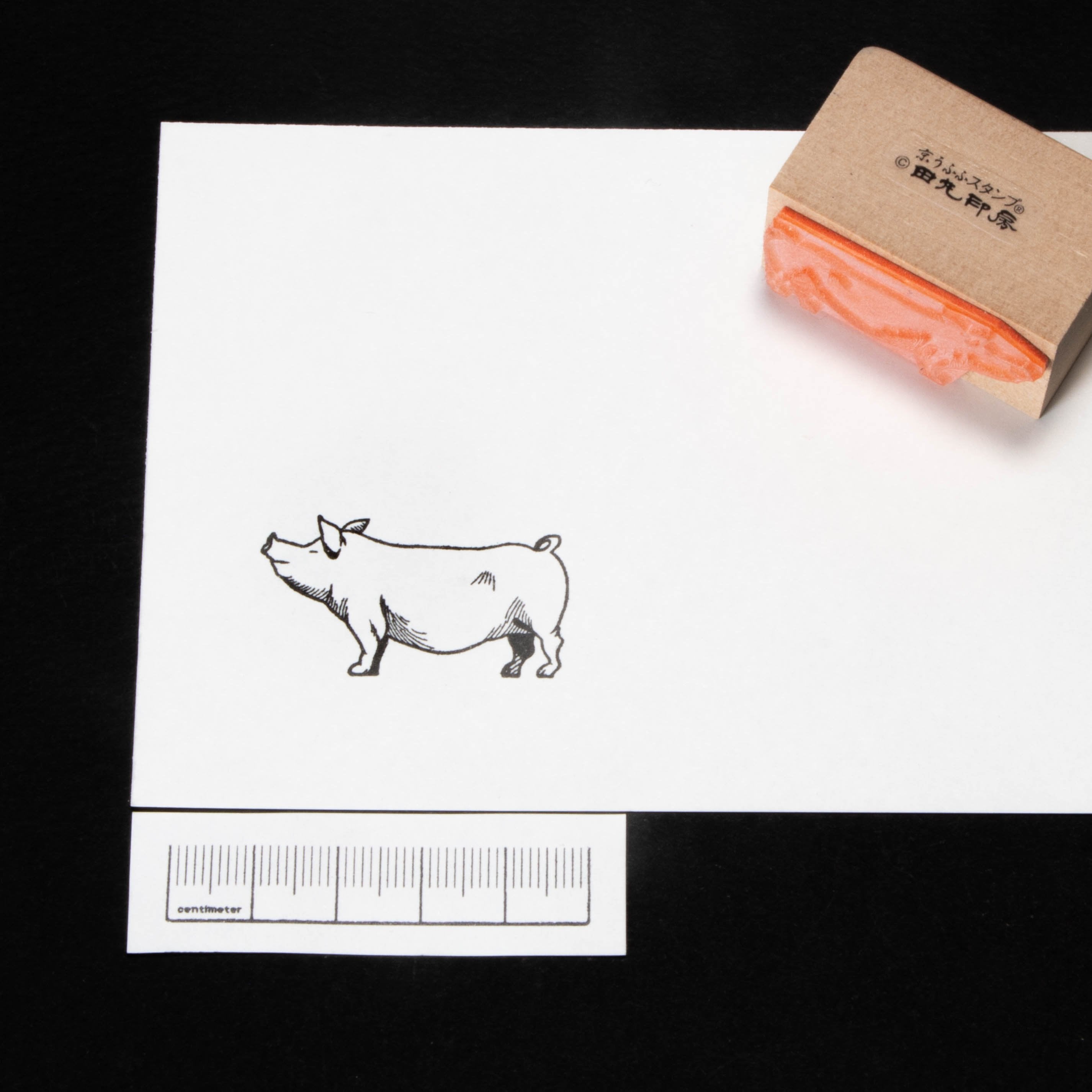 pig facing left