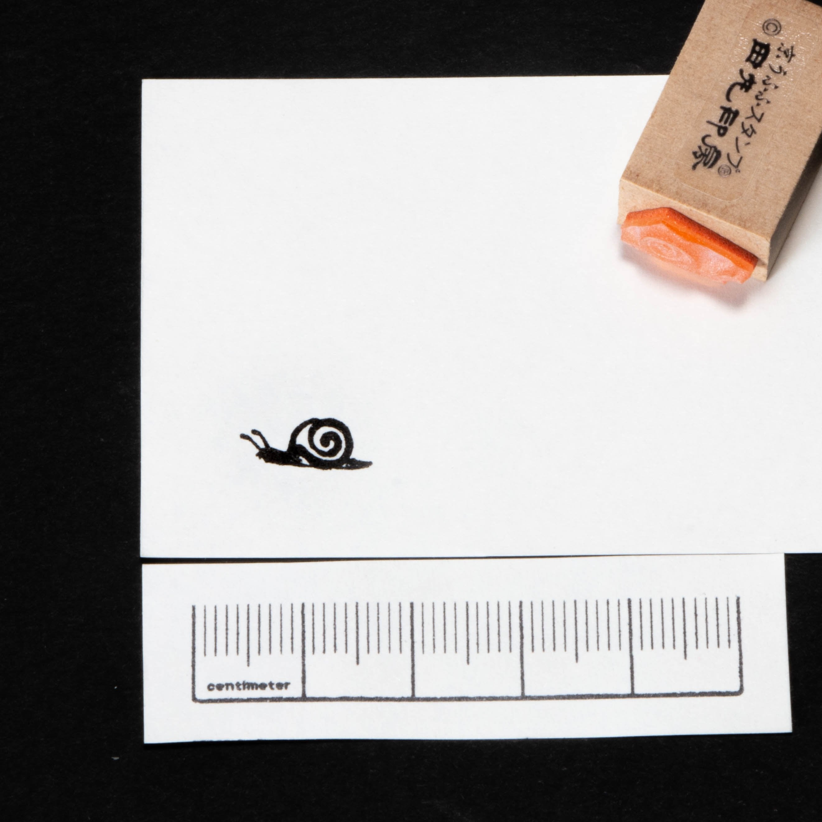 Snail small