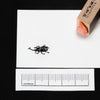 Rhinoceros beetle