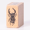 Stag beetles