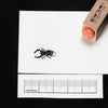 Stag beetles