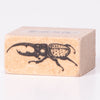 Hercules beetle