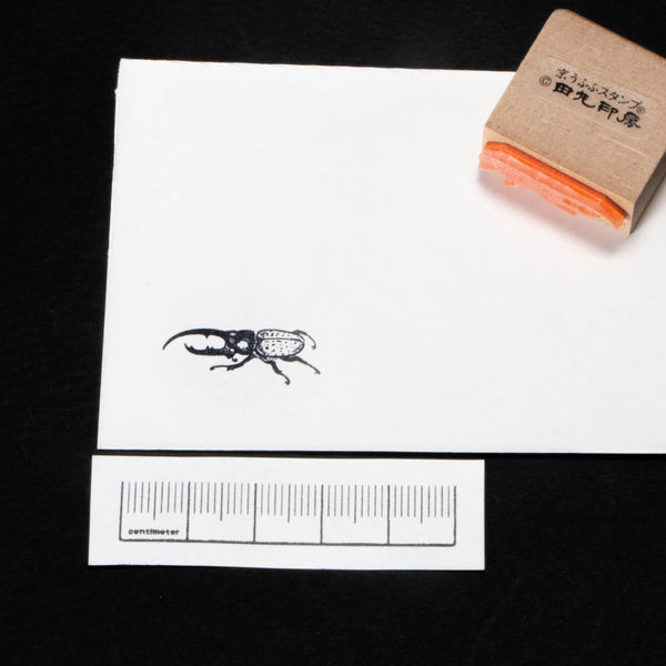 Hercules beetle