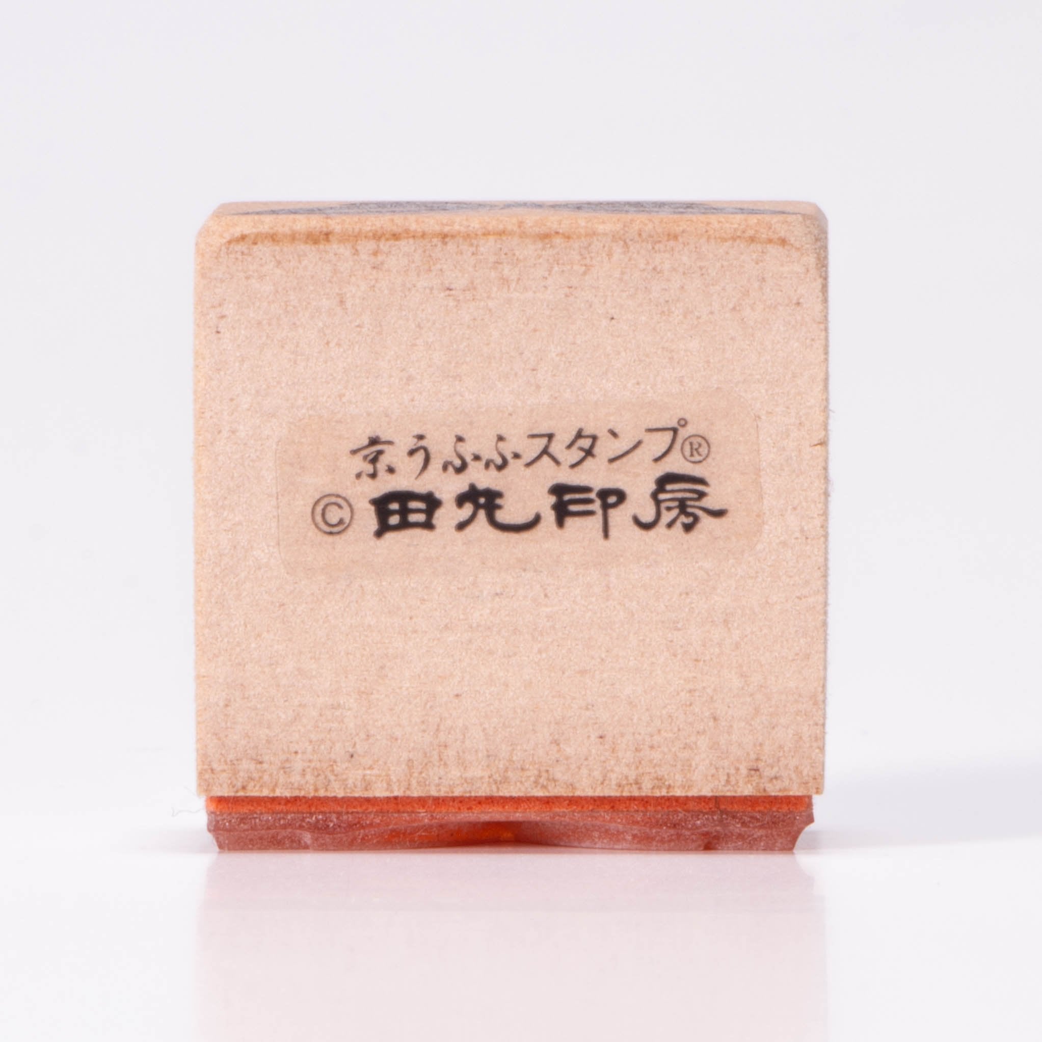 八個渦流蝴蝶