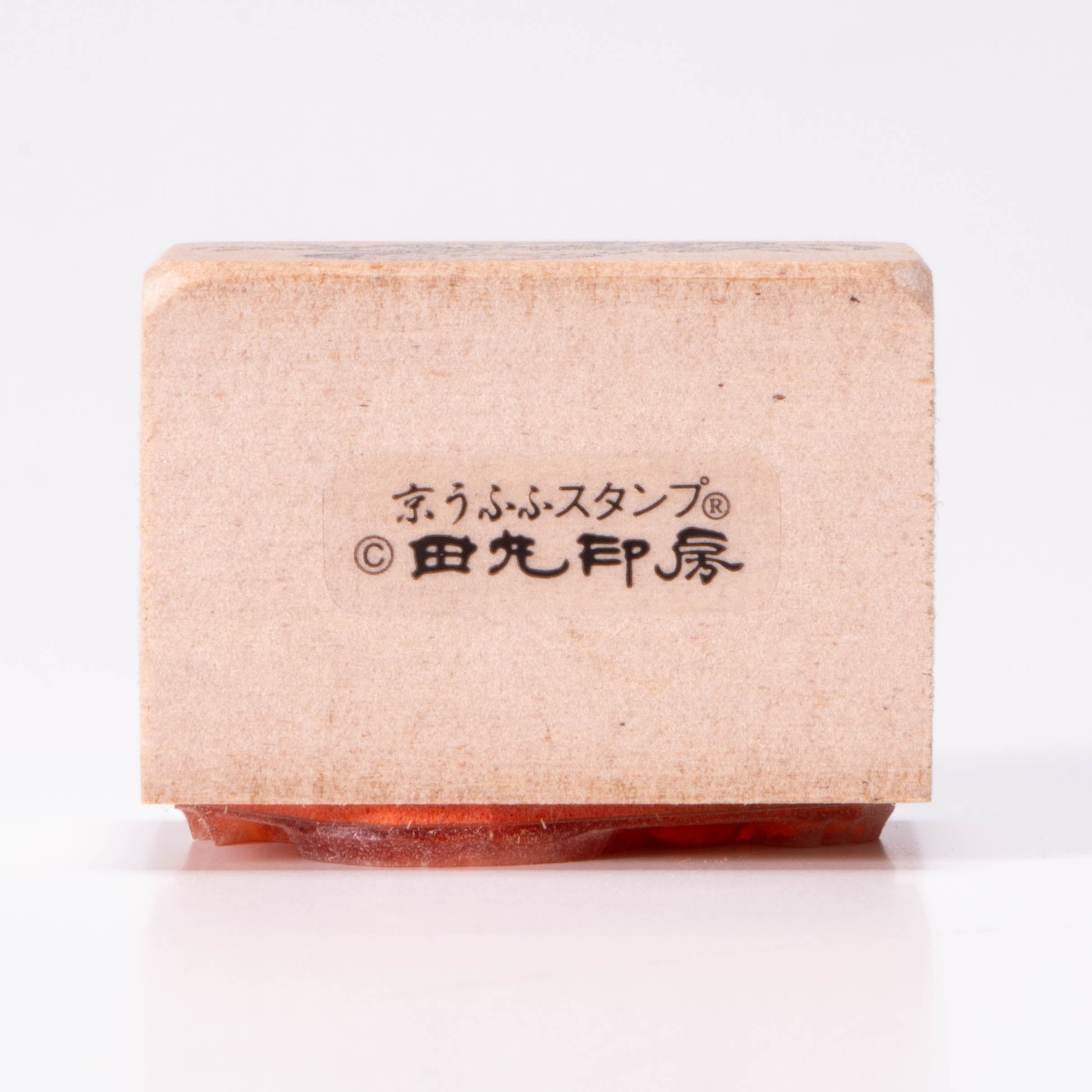 大章魚