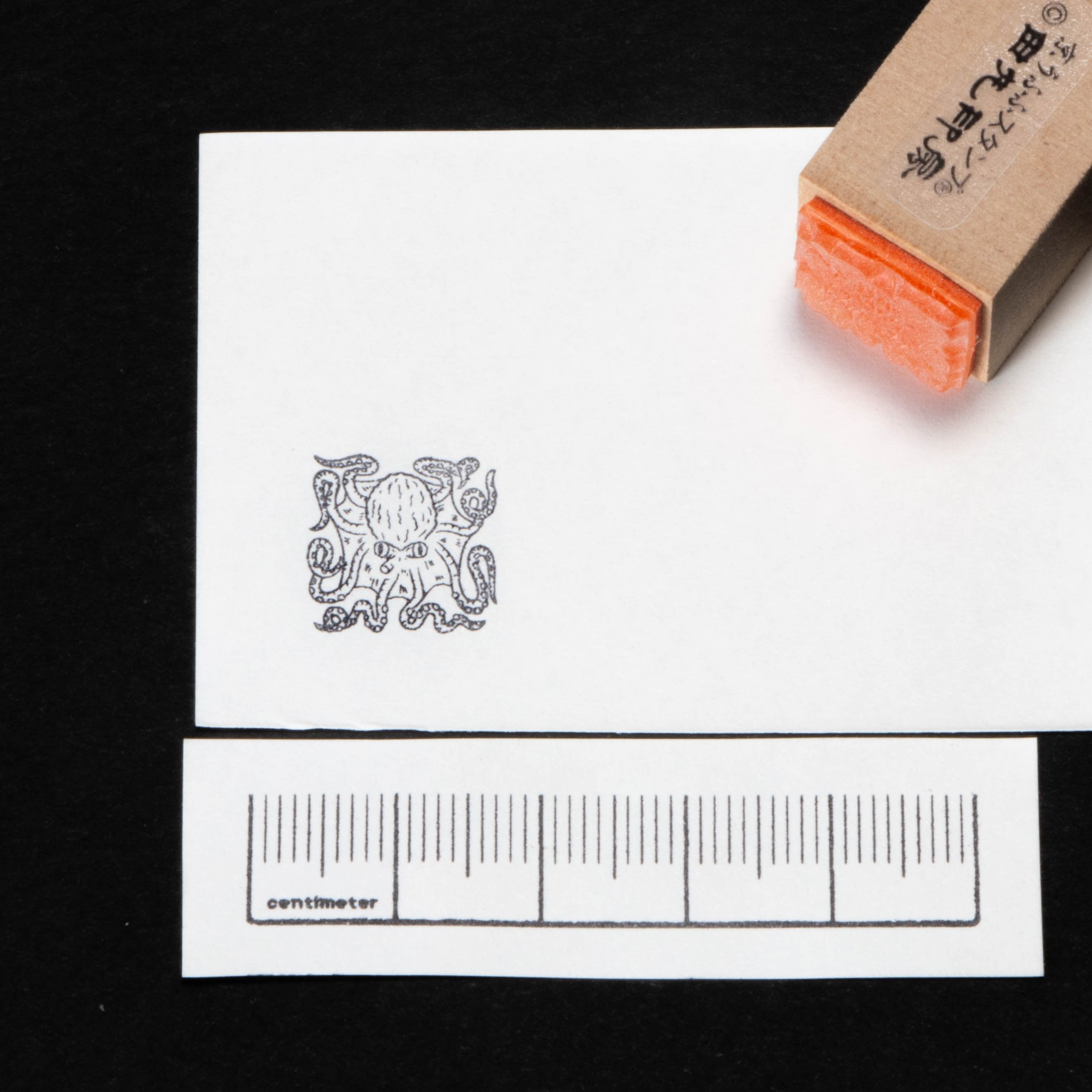 Octopus Small