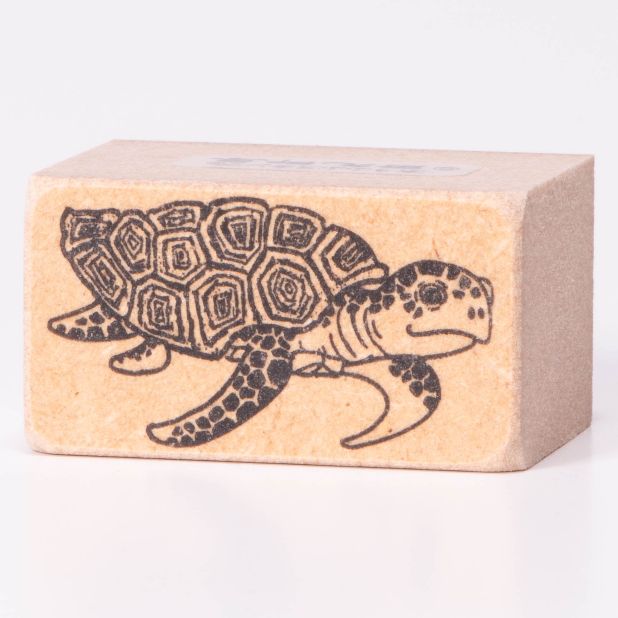 Sea turtle