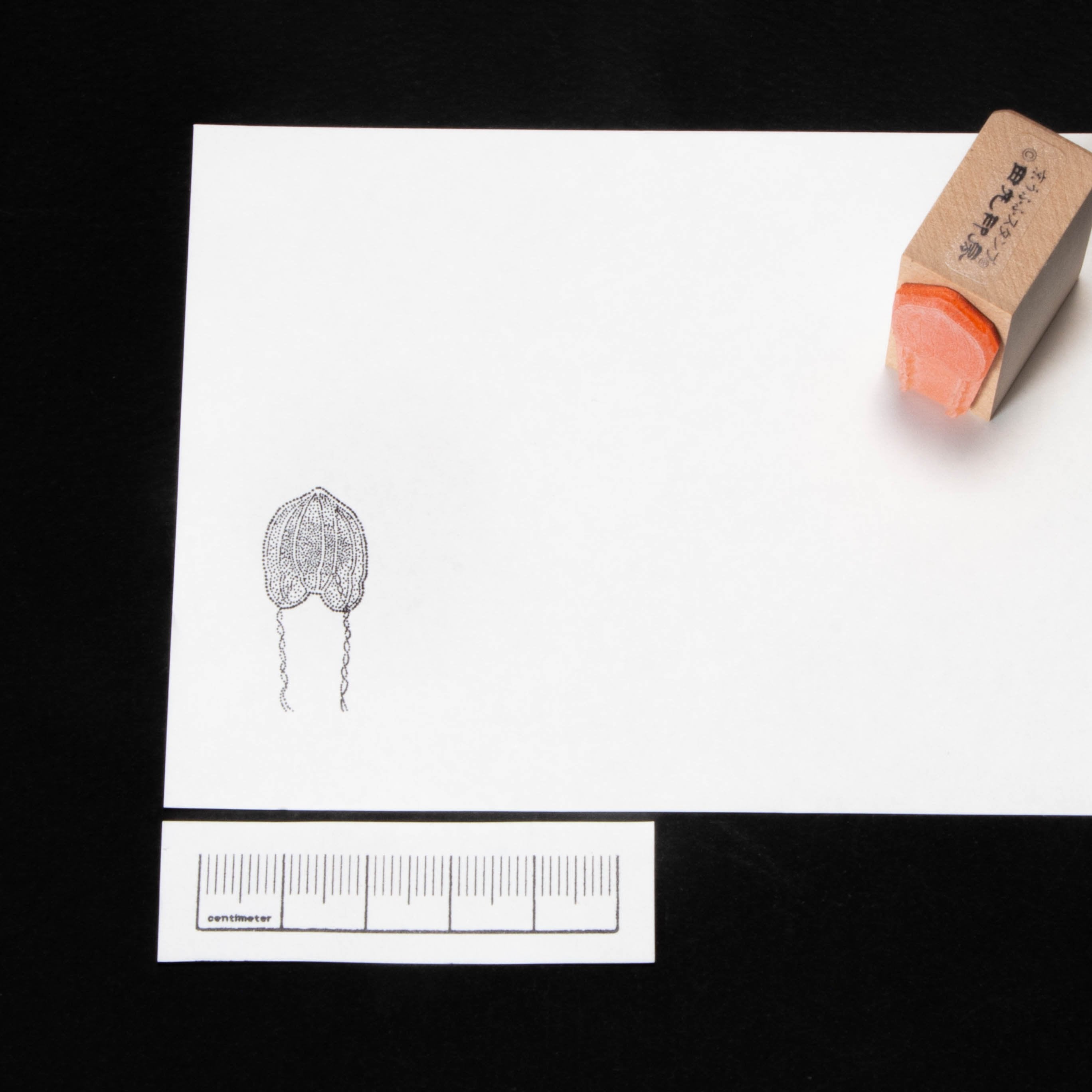 Jellyfish medium