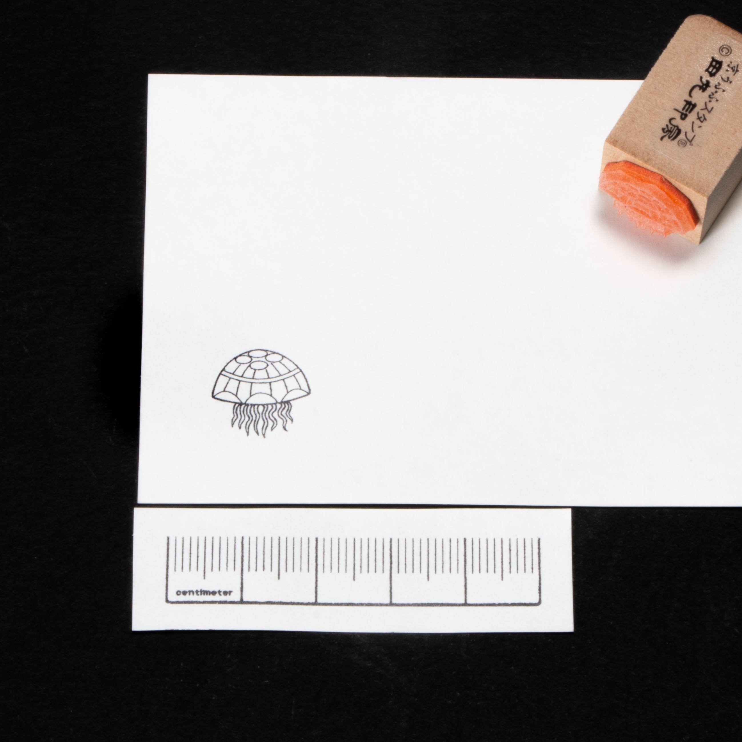 Jellyfish Small