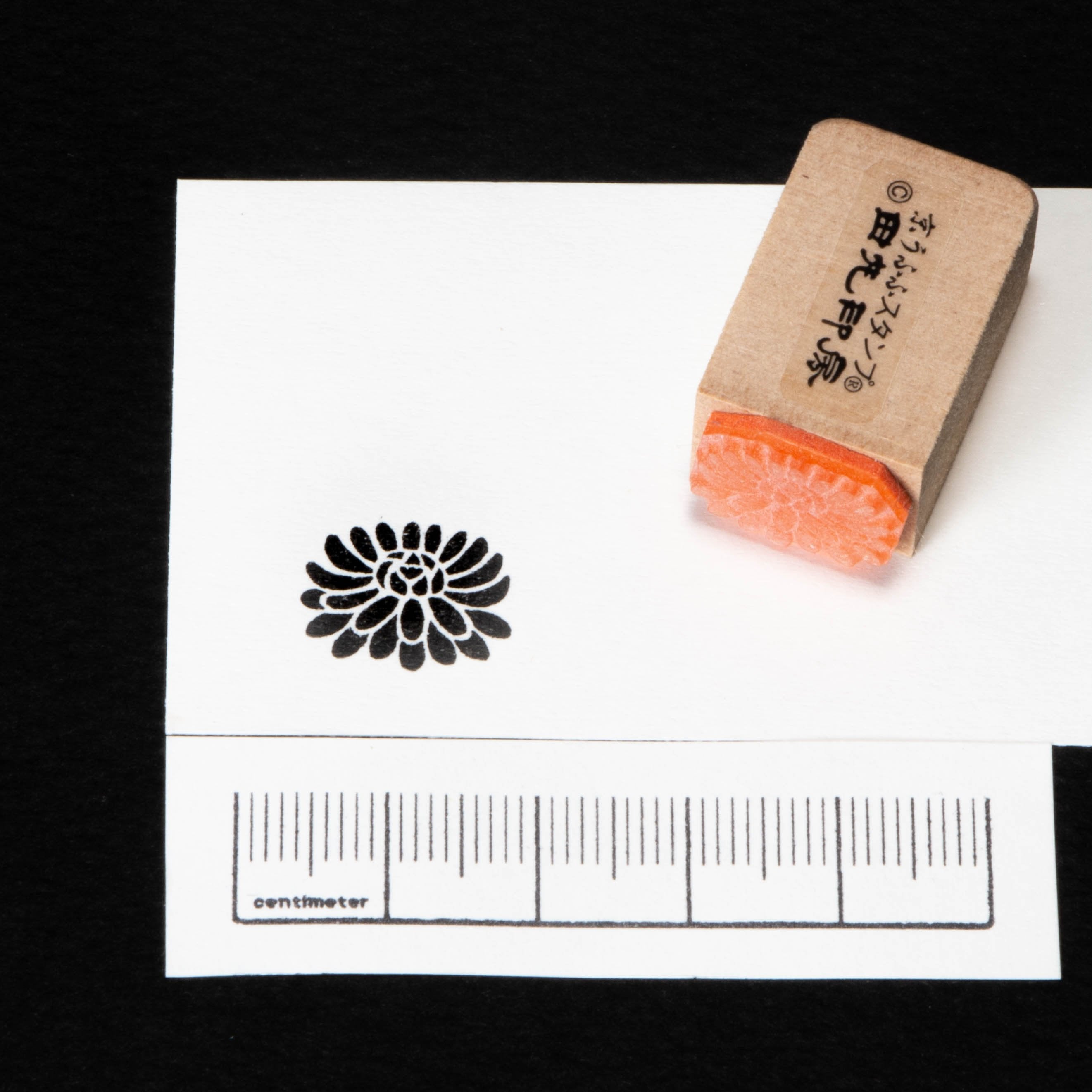 Horizontal chrysanthemum