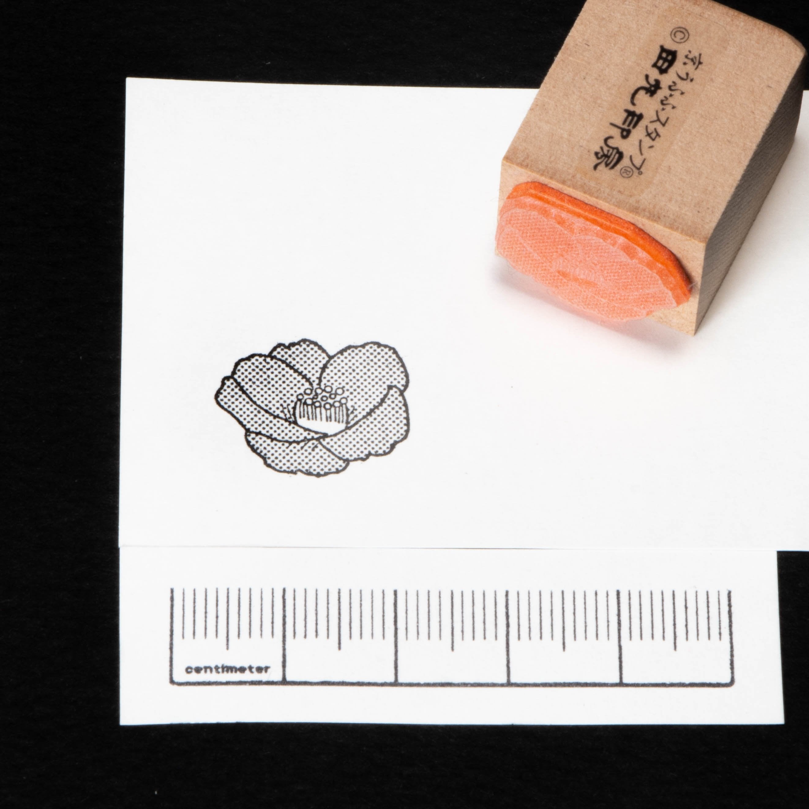 Tone Camellia