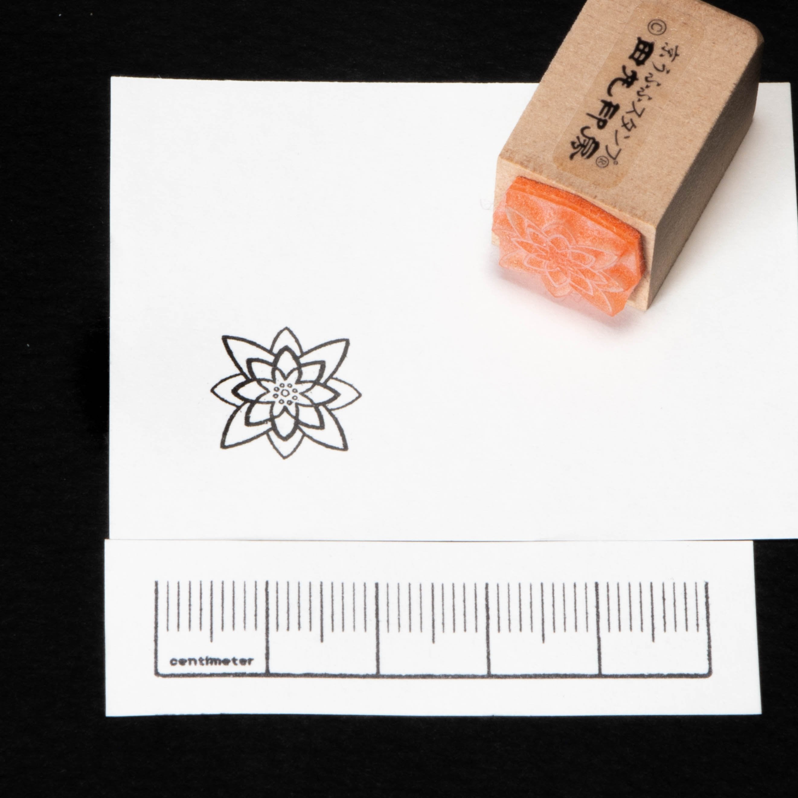 Abstract lotus flower