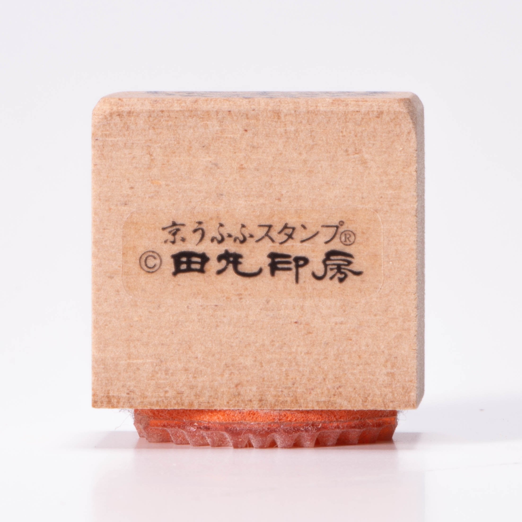 大植物