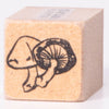 Shiitake