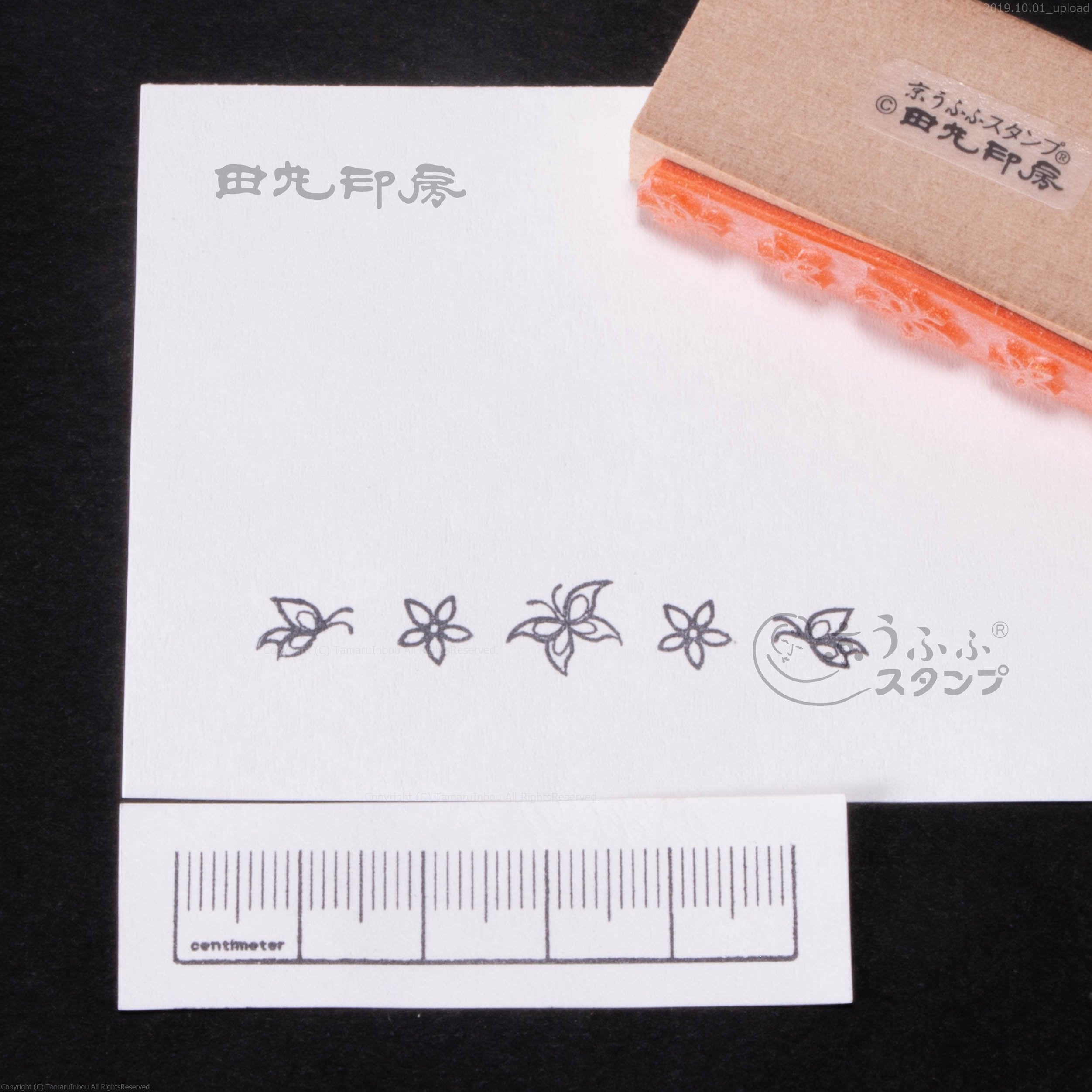 蝴蝶邊界