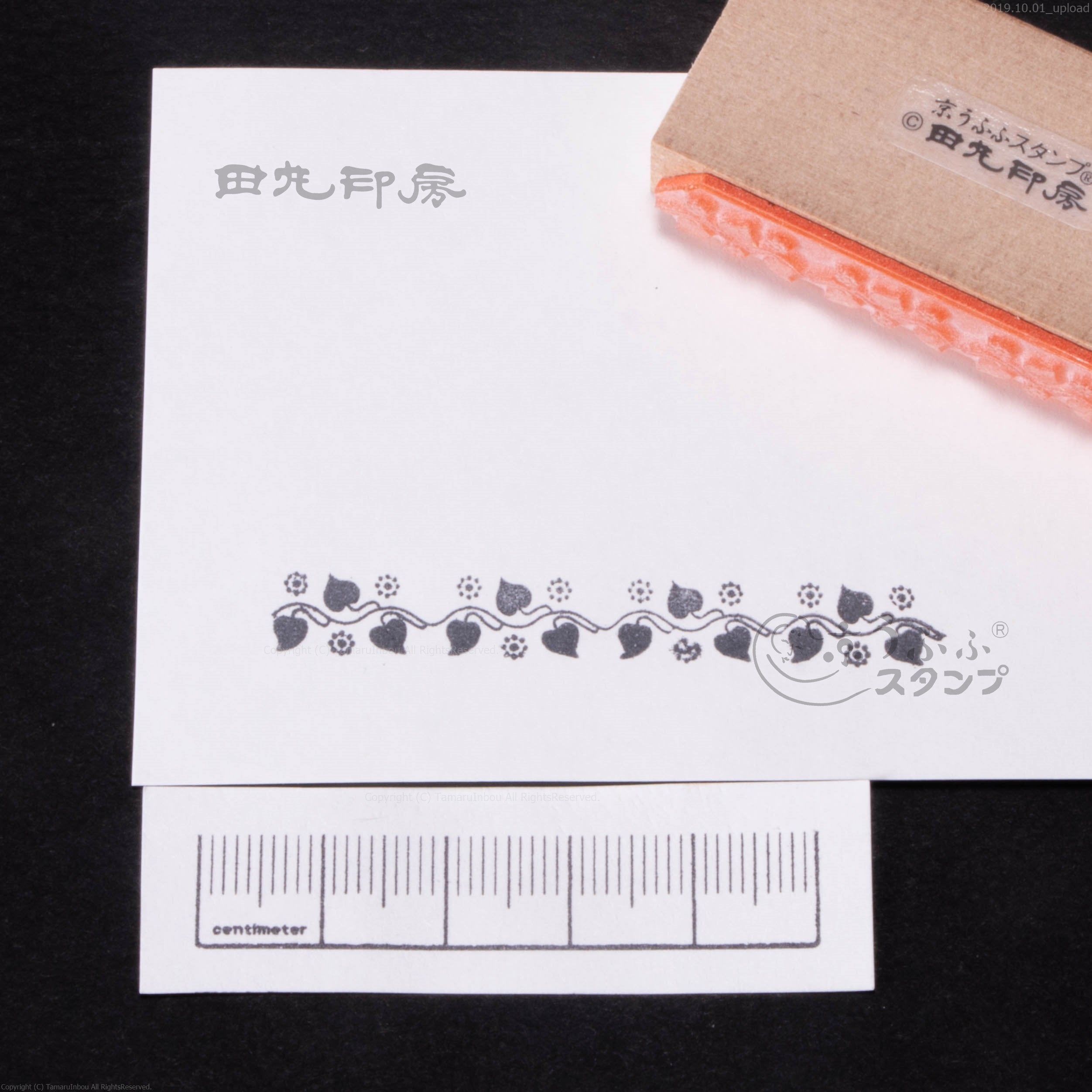 つたボーダー