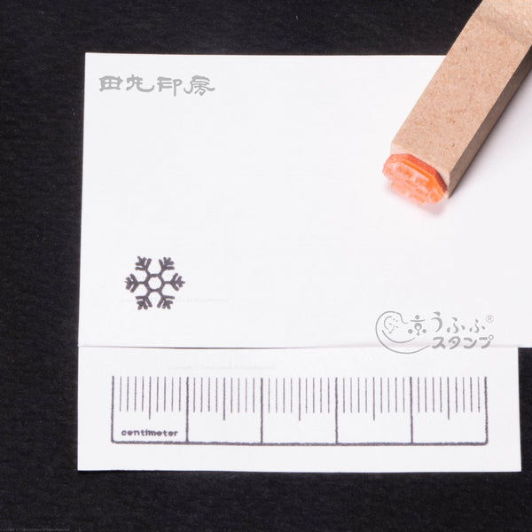⑦ Rokue Snow 3rd Angle