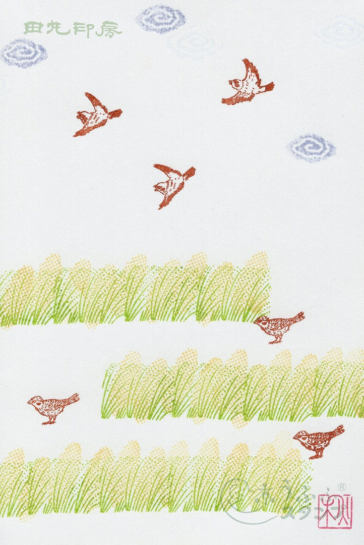 Sparrow small
