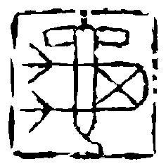 penyu