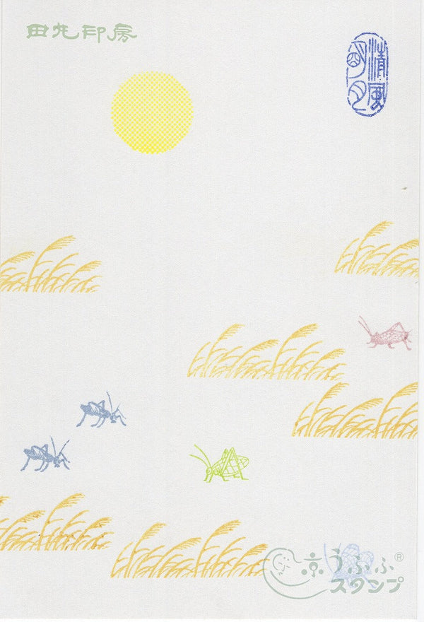 Kutswa insect