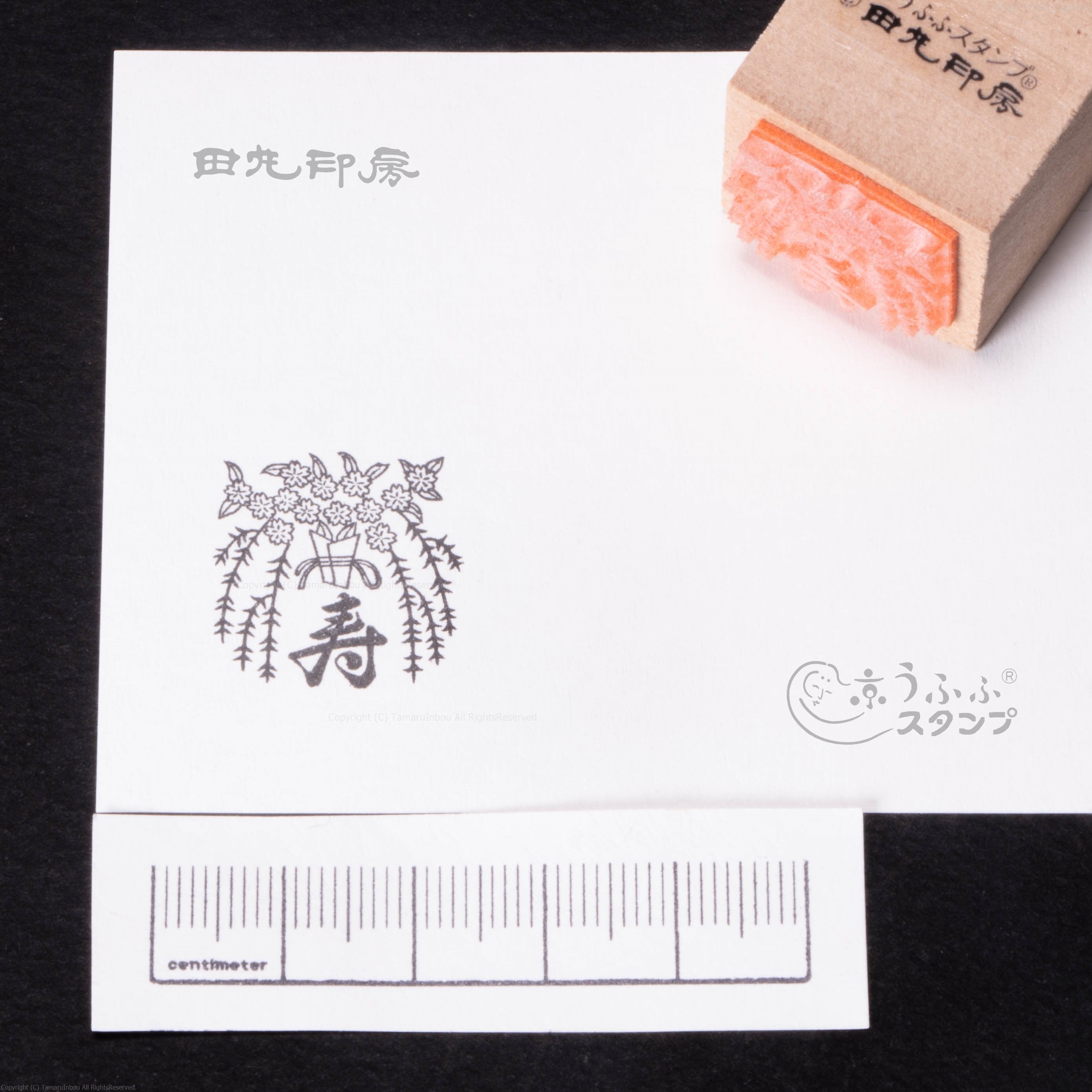 Kazarijutsu