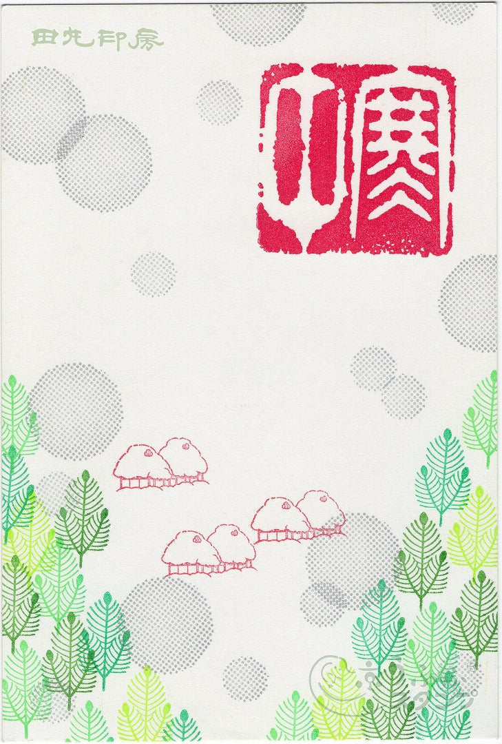 Pola pinus