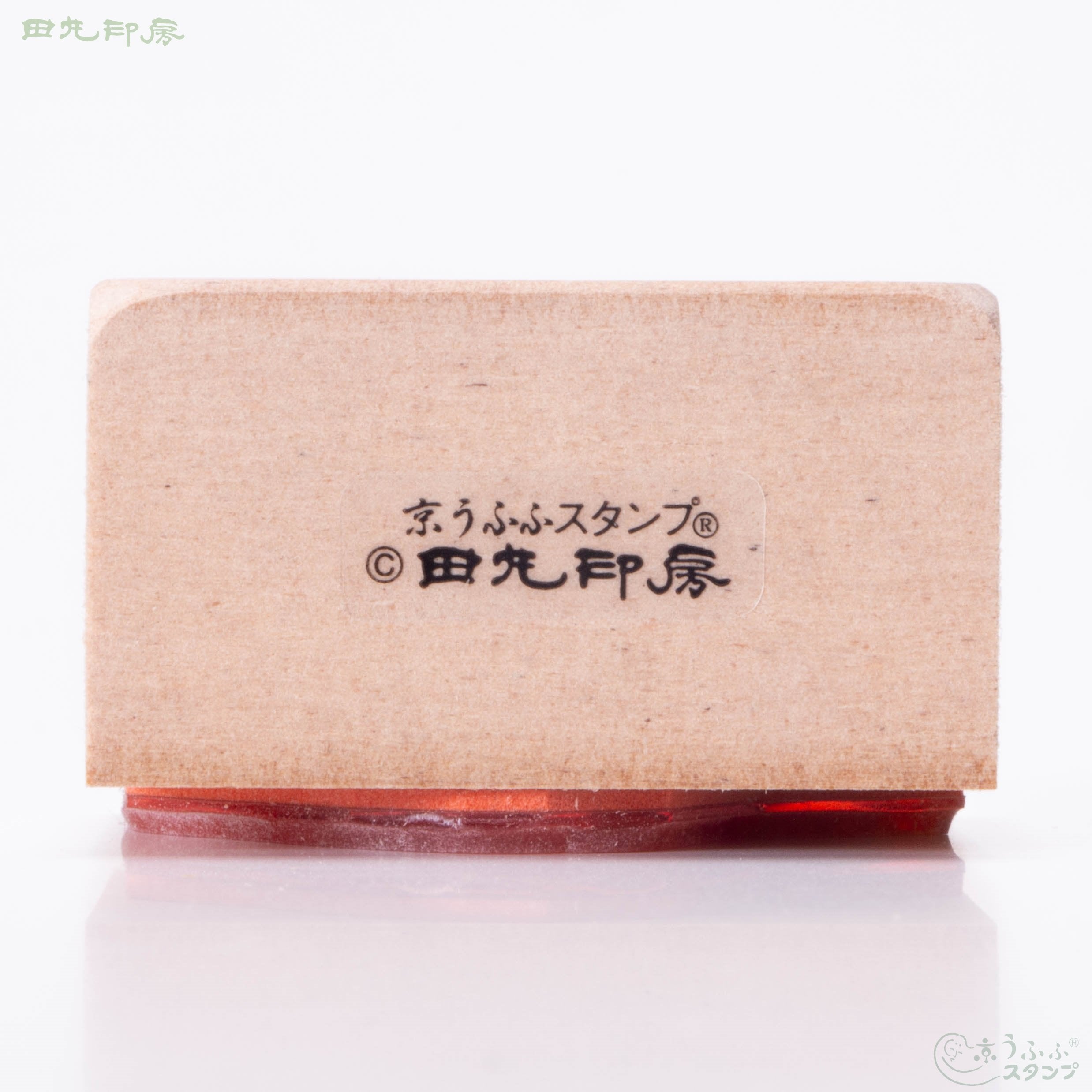 早春的粉絲
