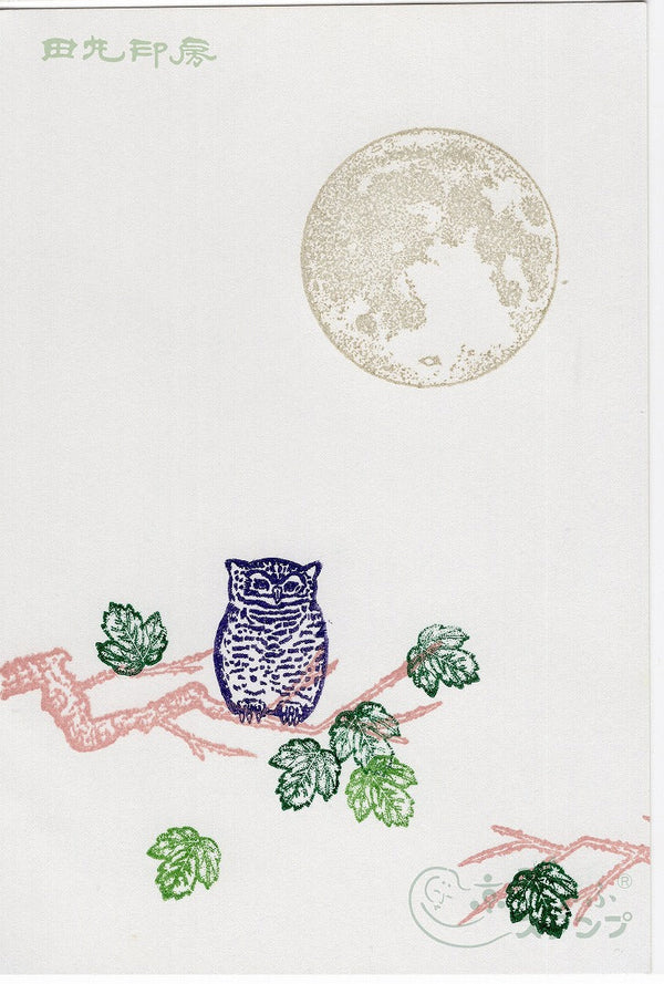 Owl