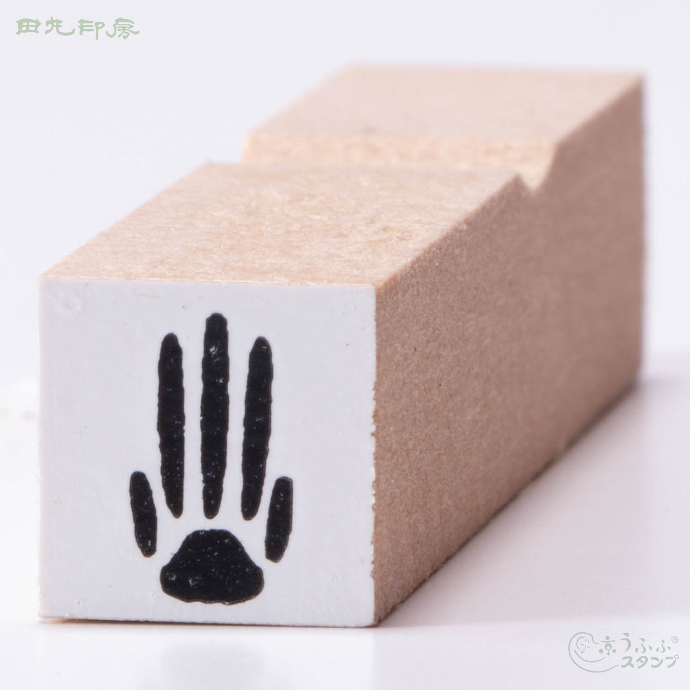 Mouse footprints