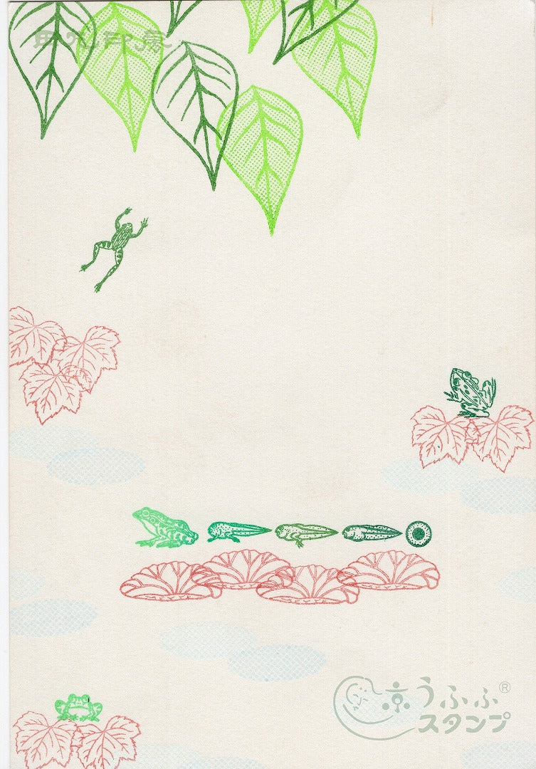 Lotus leaves