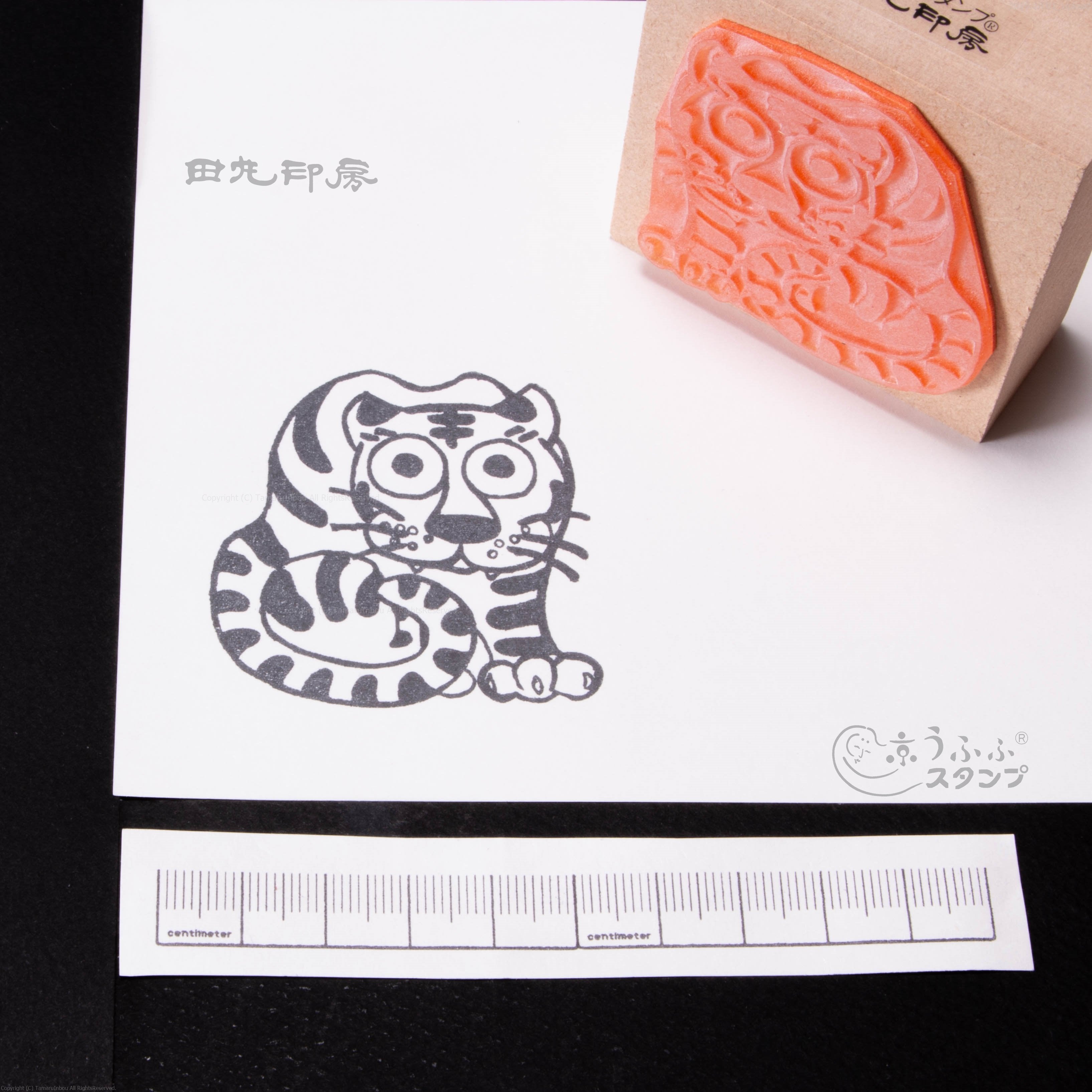 A tiger with a wide eye