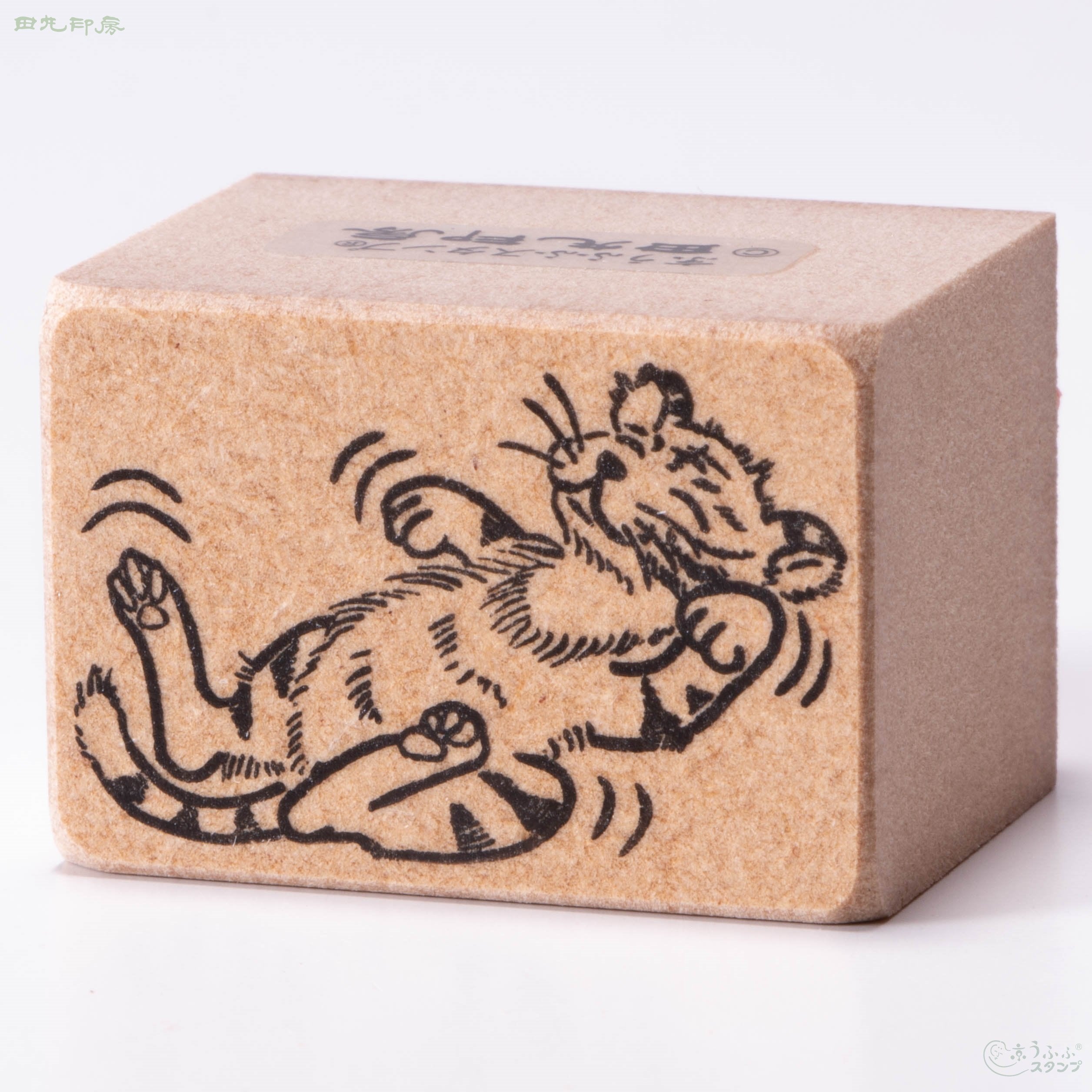 Playful tiger
