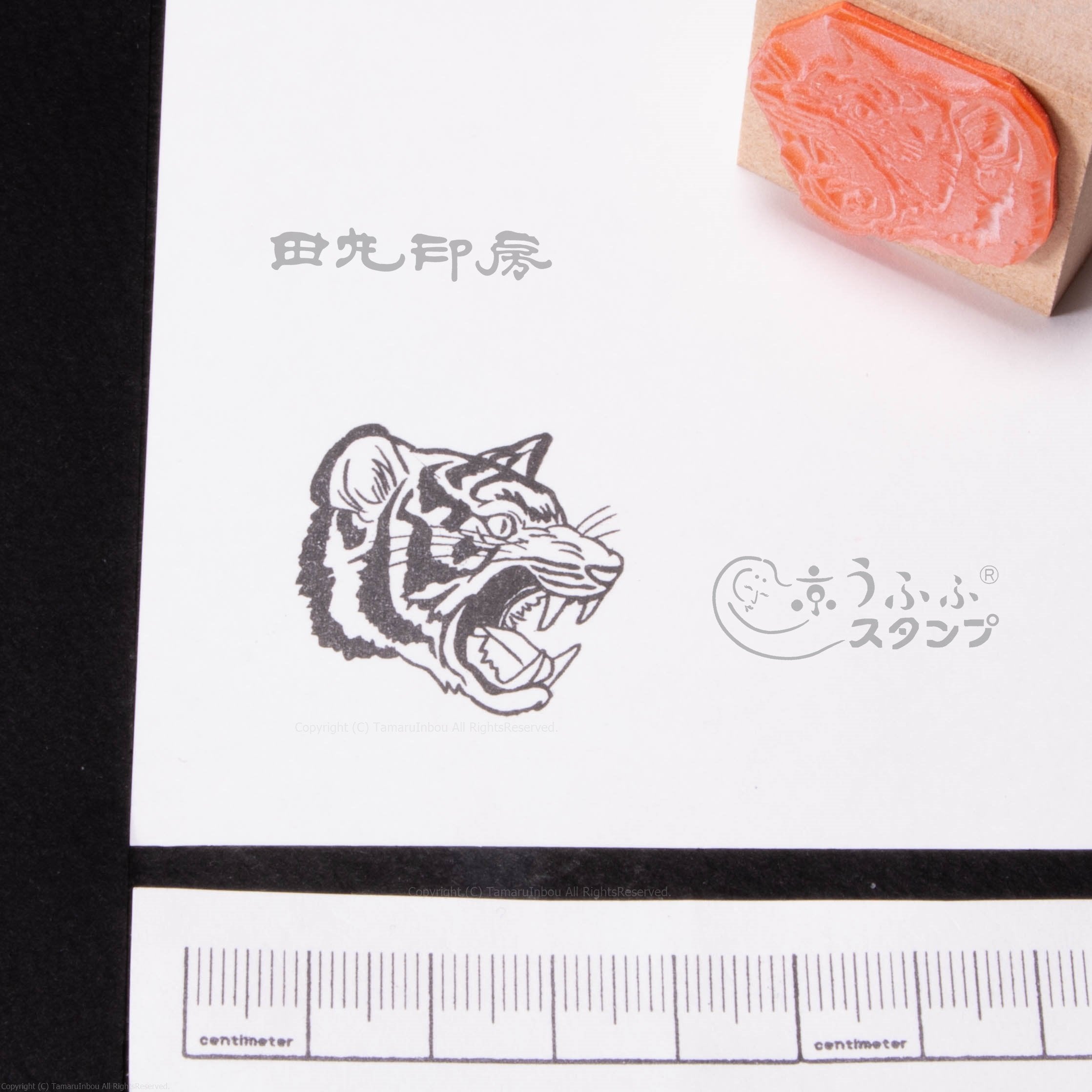 Tiger side profile