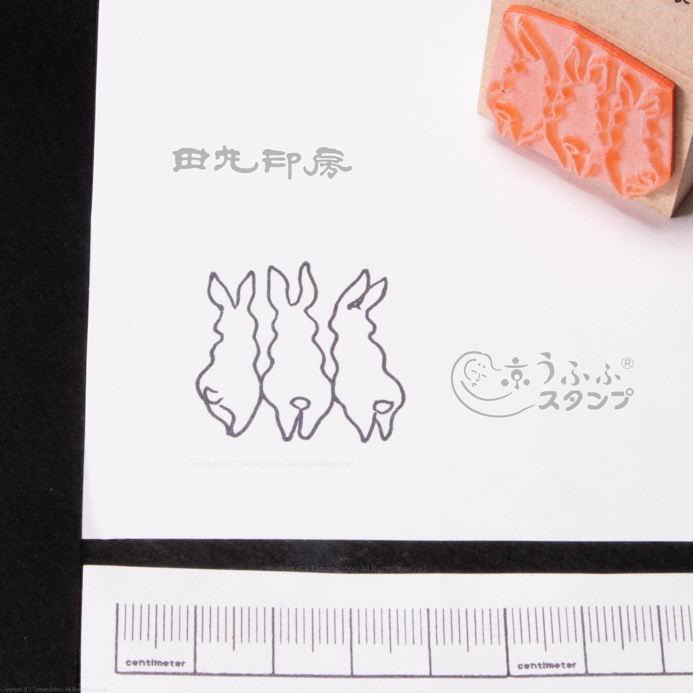 Three rabbits