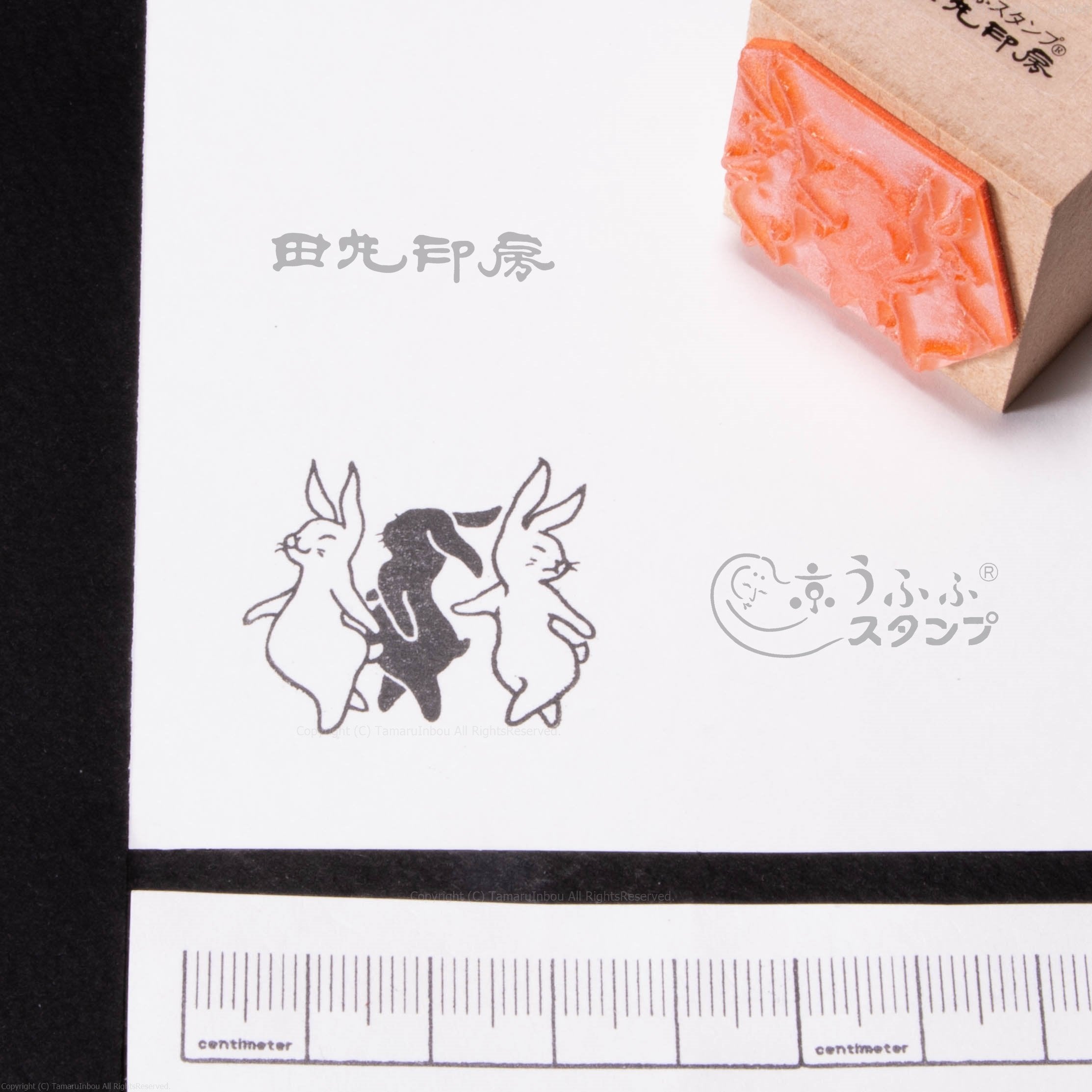 Black and white dance rabbit
