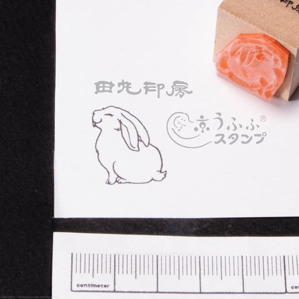 Side-facing white rabbit